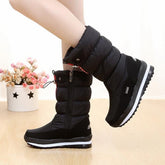 Boots  ClassicFemale Warm Fur Plush Insole High-BS01047-Veeddydropshipping